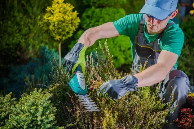 landscaping services New Augusta